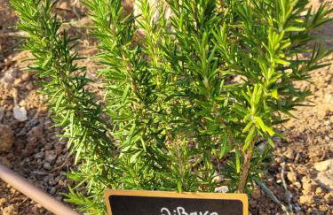 Villa Penelope - Foto 57