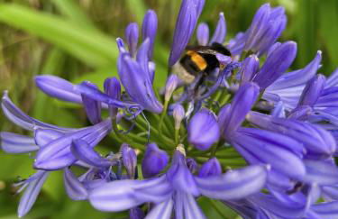 Villa Céu e Mar - Foto 8