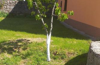 Holiday house with a parking space Volarice, Senj - 24883 - Foto 6