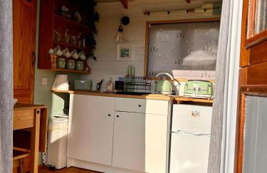 Fry’s Carriage - Foto 20