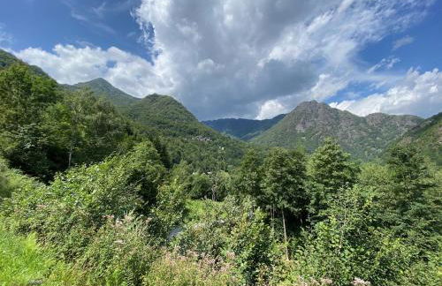 Mountain Cabin Valsesia Appartement Stella - Foto 31