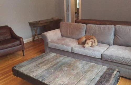 K9 Cottage MainLine - Foto 9