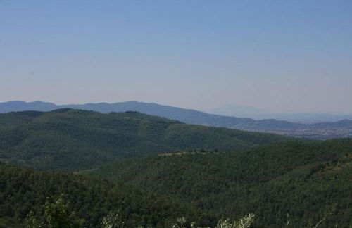 La Casina del Bosco - Foto 21