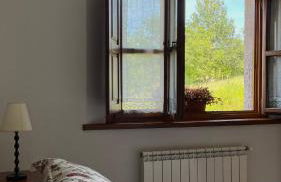 Apartamentos El Picoretu - Foto 61