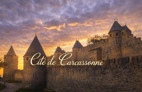 à 5mn de la réserve Africaine, charmante maison de village avec patio - Foto 15