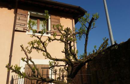 Alloggio Il Giuggiolo - Foto 10