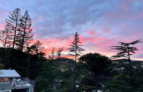 Private Luxury Suite with Views Near SF & Wine Country - Foto 45