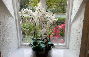 Penddol Cottage Llangollen - Photo 12