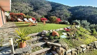 Agriturismo Orto dei Rolli - Foto 2, Garden