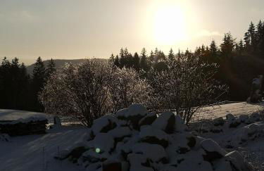 Fewo Fuchs - Foto 45