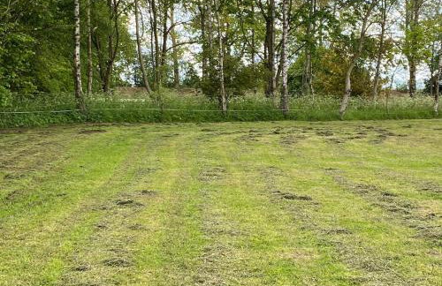 Chapel Barn - Foto 28