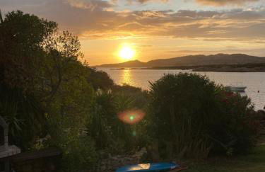 villa palma - Foto 3