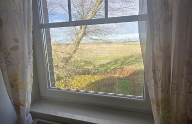 Krosse Krabbe - Foto 31