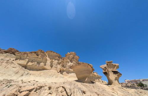 Finca Mamaflo - Foto 23