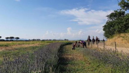 Ombrone Camere - Foto 5