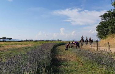 Ombrone Camere - Foto 5