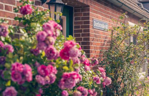 Haus Sonnenblume - Foto 25