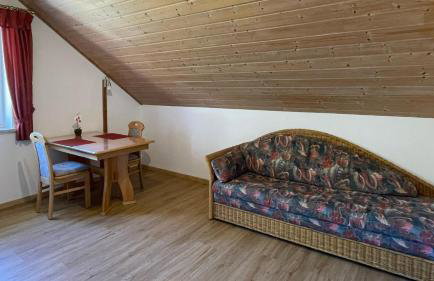 Ferienwohnungen Egerer - Foto 14