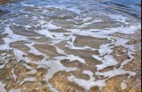 Carmela temporada Balneário de IRIRI Espírito Santo ES - Foto 48