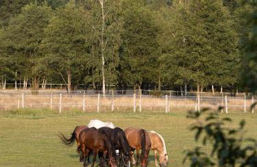 Osada Jeździecka Bata - Photo 21