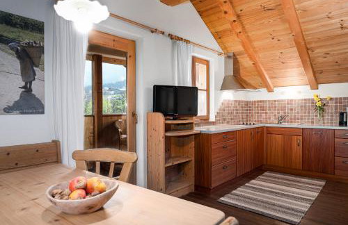 Froetscherhof, Urlaub auf dem Bio-Bauernhof in Brixen, Appartments, Sauna und BrixenCard - Foto 34