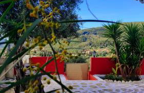 Stella Rossa - Foto 50