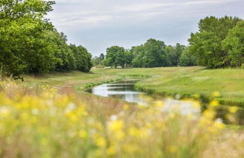 Reetdachhaus mit Elbblick - Foto 33