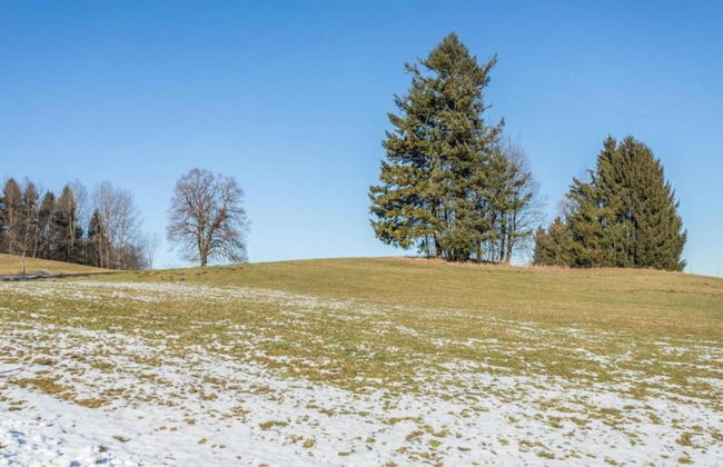 Holiday Apartment Crokus Siegsdorf - Foto 37