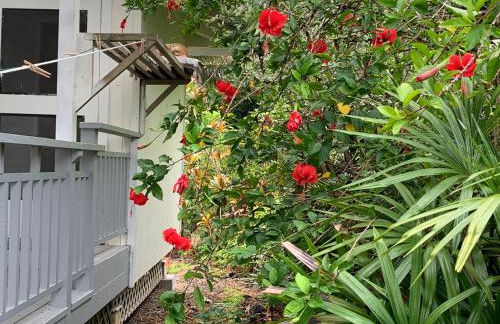 Tropical Jungalow Near the Ocean Cliffs - Foto 25