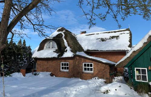 1100 - Reetdachhaus in Grube - Foto 15