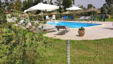 Agriturismo Su Niu - Foto 1, Garden, sunbed, Garden view