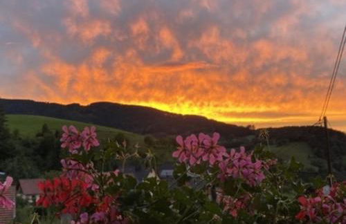 Ferienwohnungen Maierhof Oberried - Foto 49