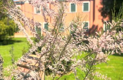 Agriturismo Ca' Bonelli 1924 - Foto 12