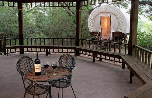 Unique Wagon Accommodation at Bed and Breakfast near Austin, Texas - Foto 8