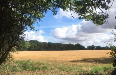 The Lily Pad Suffolk - Foto 6