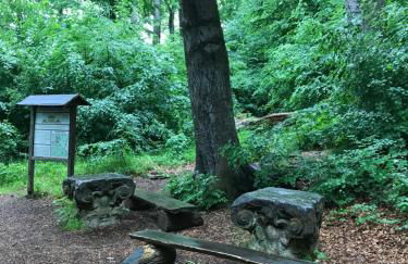 Ferienwohnung Auszeit am Kurpark Bad Berka - auch im Frühling toll! # Balkon # ruhige Lage # gratis Parkplatz & WLAN # Nähe Weimar # Weimarer Land - Photo 31