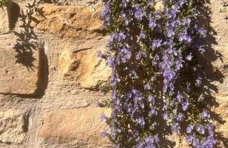 The Old Workshop, Monkton Combe - Elegant Countryside Retreat near Bath - Foto 37