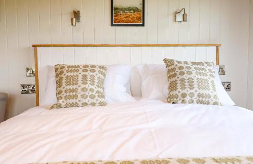 Defaid Cymreig - Foto 12