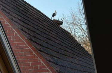Ferienhaus Kamerun an der Elbe - Photo 35