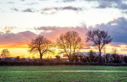 Sunset View - Photo 29