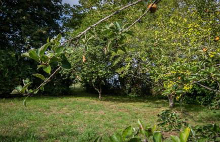 Le Petit Mona Céléna - Foto 21