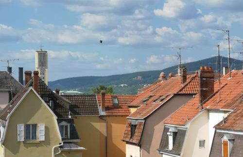 Colmar Friends and Familly guest home - ALL INCLUSIVE - COLMAR Gare - Jardin - Combles et Vous - Foto 62