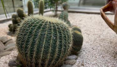 La Casa di Flò Luxury Rooms - Foto 4