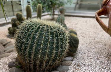 La Casa di Flò Luxury Rooms - Foto 4