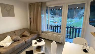 Le Lioran, La Sumène, Studio balcon tout confort aux pieds des pistes - Foto 3