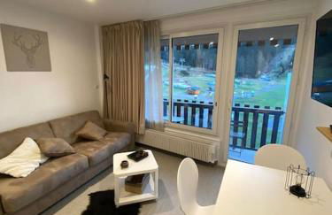 Le Lioran, La Sumène, Studio balcon tout confort aux pieds des pistes - Photo 3