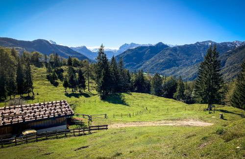 Beim Mühltaler II - Photo 25