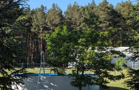 Pension zum Reiterhof, Fewo 2 - Foto 16