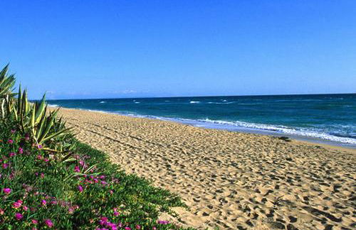 Azienda Agrituristica Il Pago - Foto 41