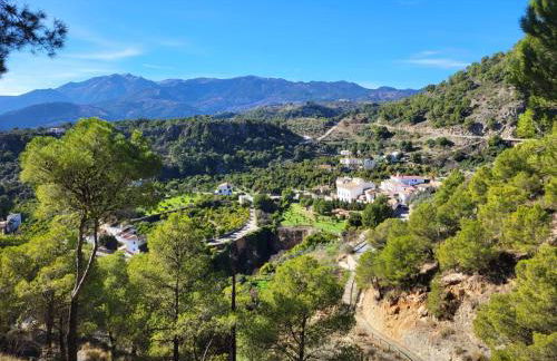 Matchroom Country Club Perla Roja 1 - Foto 47